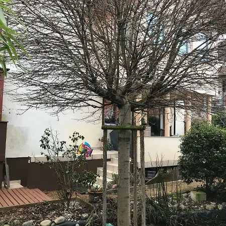 Апартаменты Idyllische Und Ruhig Gelegene 1zkb In Людвигсхафен-на-Рейне