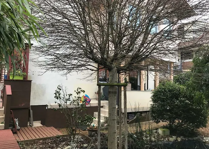 Appartement Idyllische Und Ruhig Gelegene 1zkb In Ludwigshafen